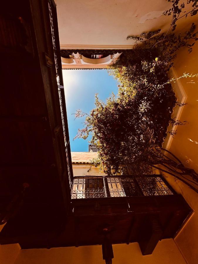 Riad Msholidays Bassin Privatise Marrakech Marrakesch Exterior foto